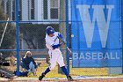 Baseball vs Brandeis  Wheaton College Baseball vs Brandeis University. - Photo By: KEITH NORDSTROM : Wheaton, Baseball